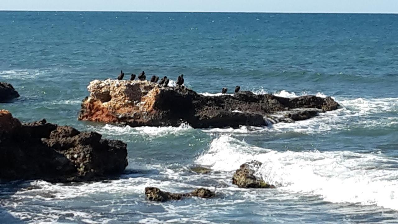Precioso Apart Sur Y Norte Cerca Playa Y Centro - Cascadas De La Marina Denia Εξωτερικό φωτογραφία