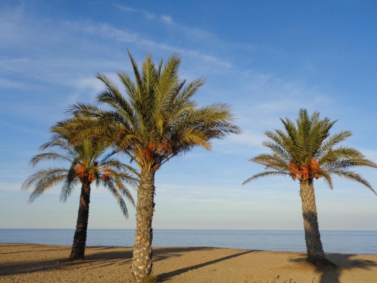 Precioso Apart Sur Y Norte Cerca Playa Y Centro - Cascadas De La Marina Denia Εξωτερικό φωτογραφία